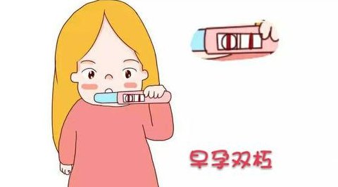 私立医院试管婴儿排名哪家更高？比公立医院好在这些方面！