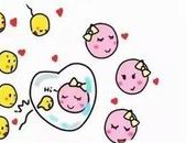 二代试管攻略：单囊胚移植怀双胎，你不可不知的成功率！‌