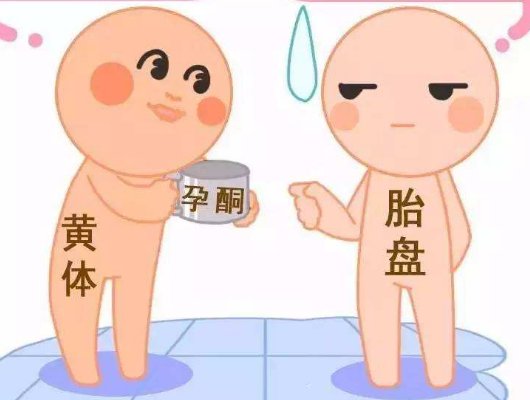 做试管子宫内膜厚度多少适合移植？内膜厚度影响试管成功率吗？