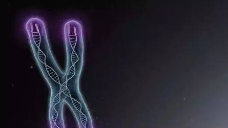 30多岁做婴儿试管,30岁以上试管需要注意的问题！